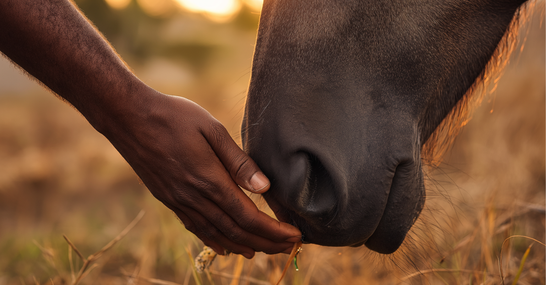 Espirulina para caballos: evidencia científica y uso responsable